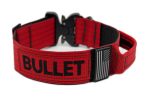 WebProduct_Collar_2inPersonExt