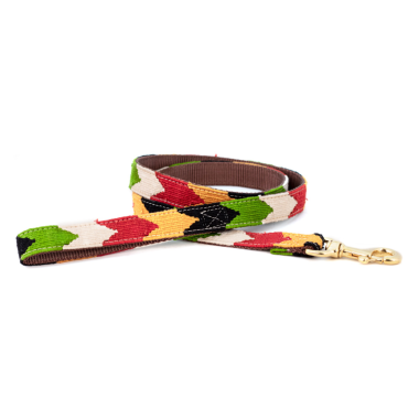Leashes