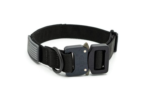 Tactipup_1_Extreme_Product_Photo-2
