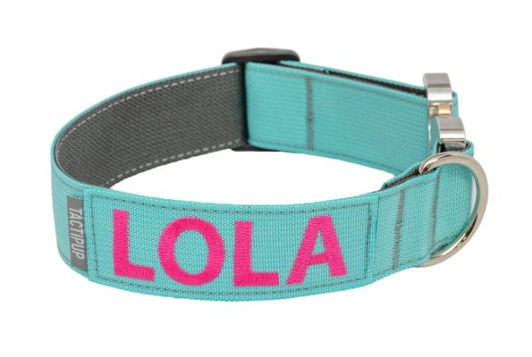Tactipup_Collar_Webphoto_SilverEditioncopy