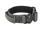 WebProduct_Collar_2inPersonExt