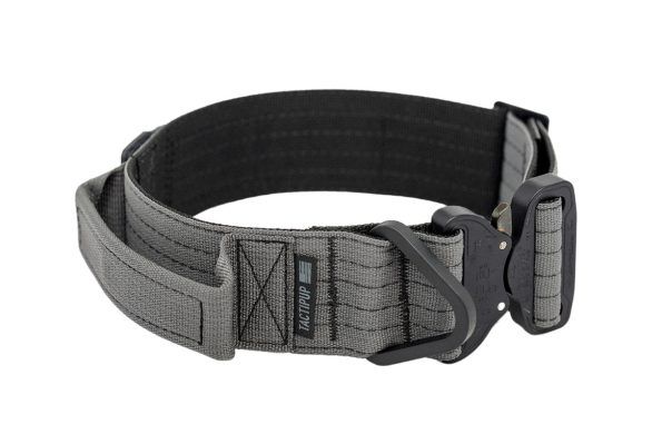 WebProduct_Collar_2inExtPersB