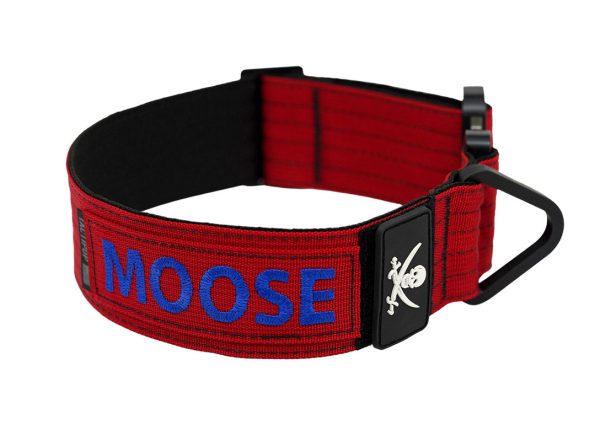 WebProduct_Collar_2inExtremePers_A