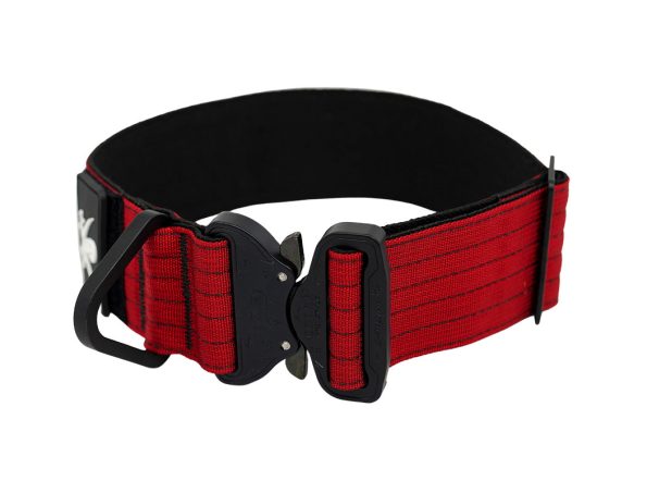 WebProduct_Collar_2inExtremePers_B